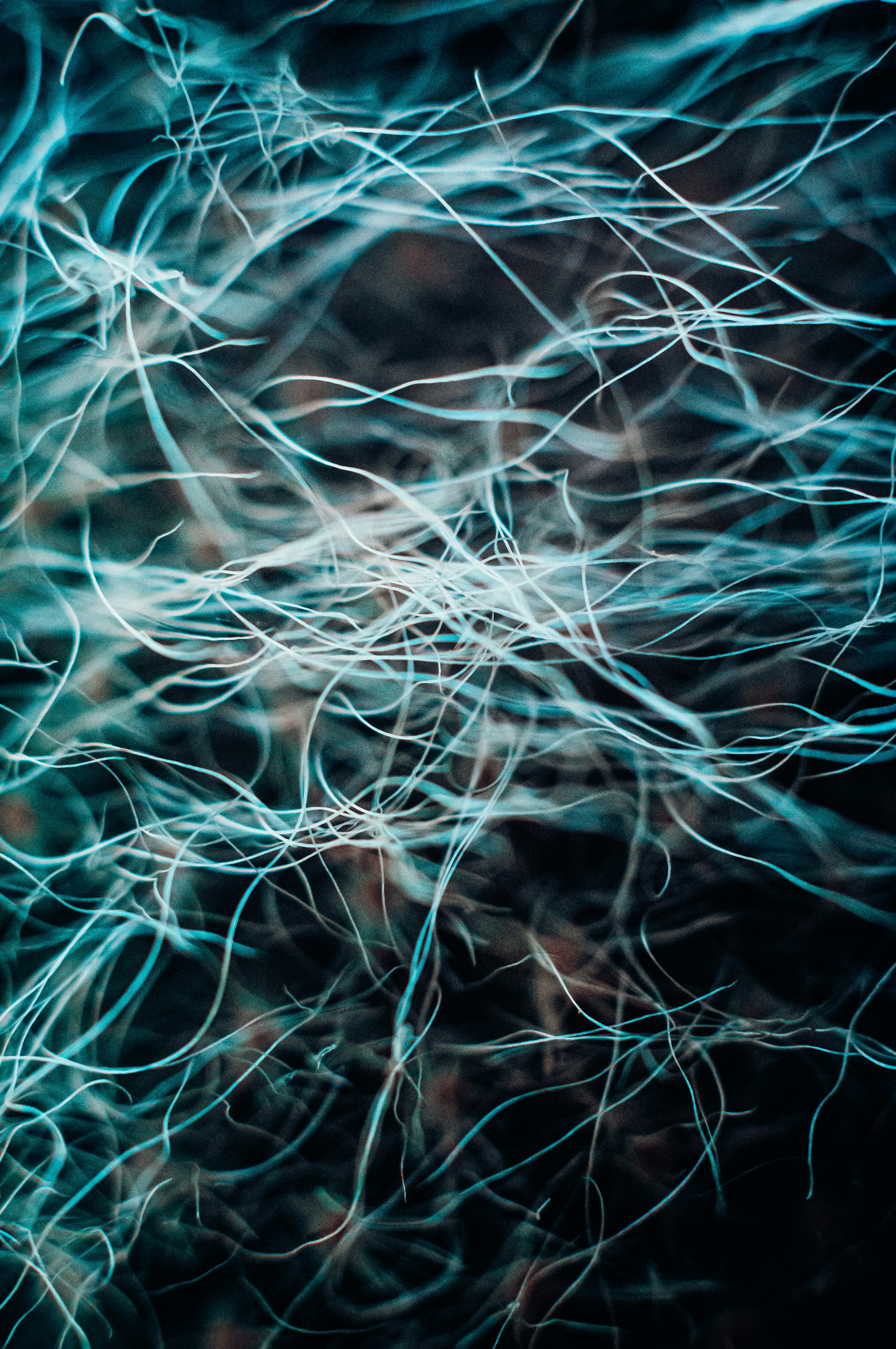 james-jeremy-beckers-JMqIX2tHGCI-unsplash